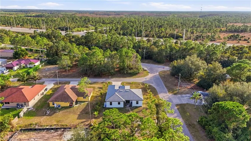 Aerial view of a forest