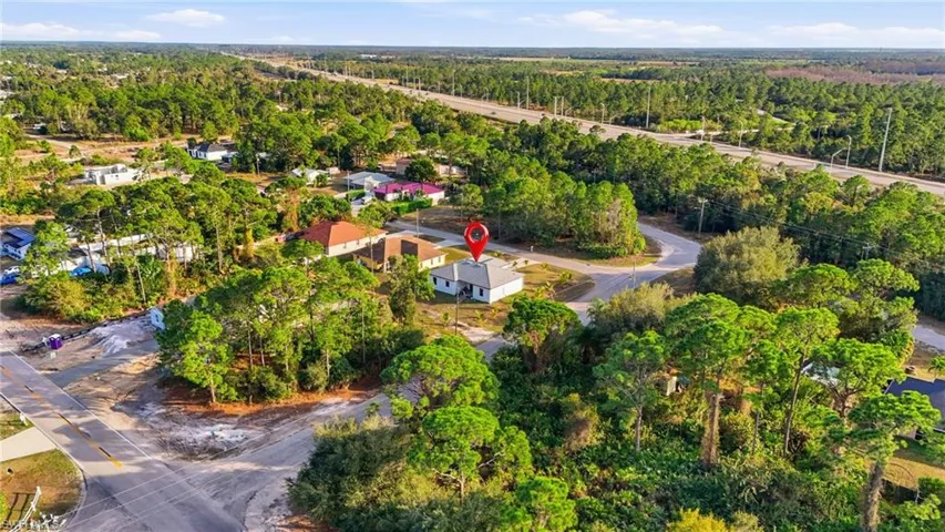 Bird's eye view of a forest
