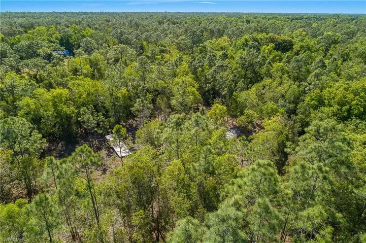 11175  Ladybug  LN, Naples, FL 34114