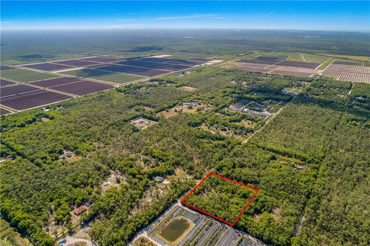 11175  Ladybug  LN, Naples, FL 34114