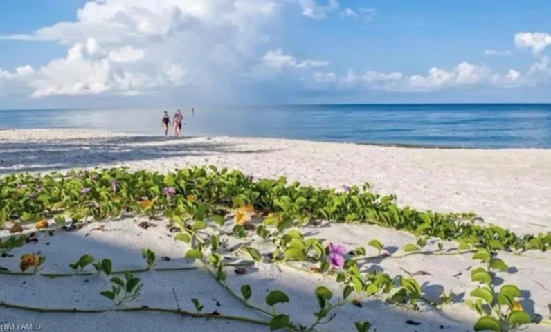 Take your morning stroll with a friends on white sugar sand gulf beaches
