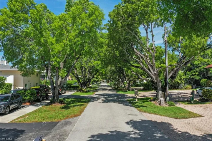 Tree-lined streetscape featuring mature foliage and manicured green spaces