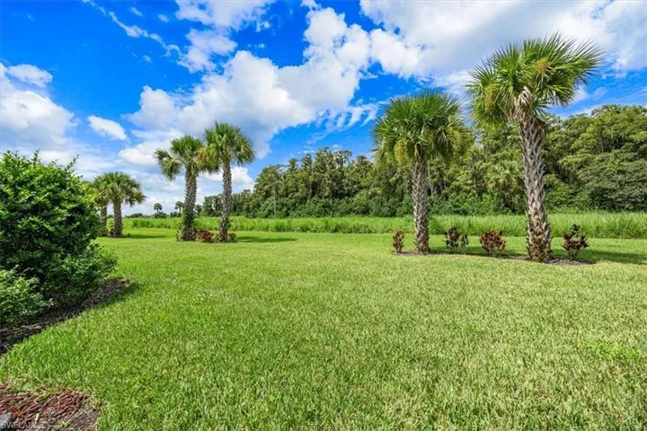 5885 Mayflower Way, Ave Maria Fl 34142