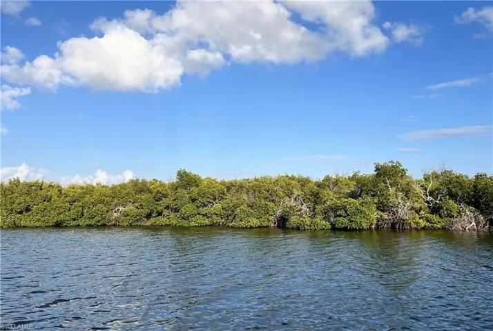 Indian Field Key + Island 1, Bokeelia, Florida 33922