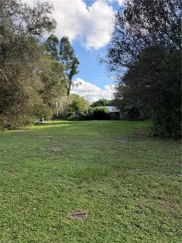 Expansive lot featuring cleared grass terrain, mature perimeter trees, and natural foliage