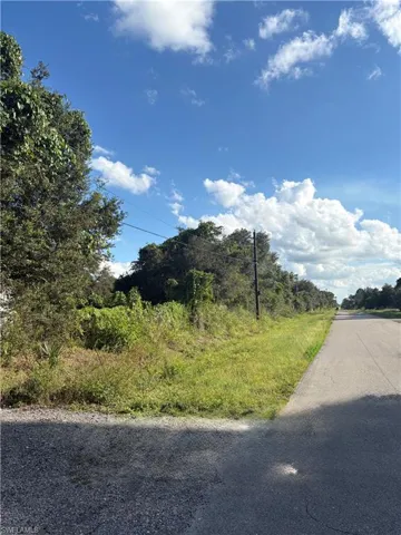 Cleared lot featuring mature trees and direct paved road access