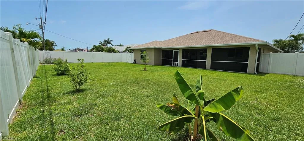 Green, spacious fenced-in backyard