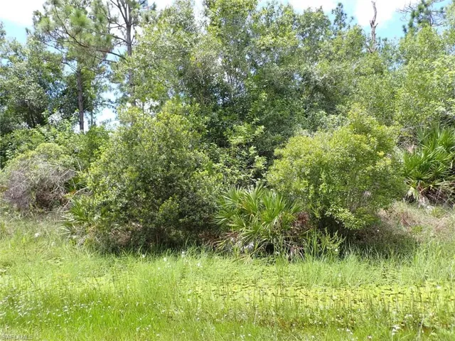 View of nature