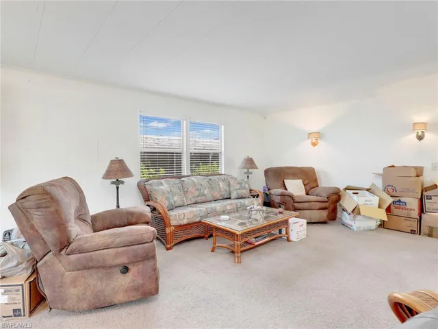 Living room featuring carpet