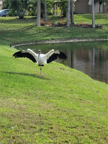 Showing off for the camera