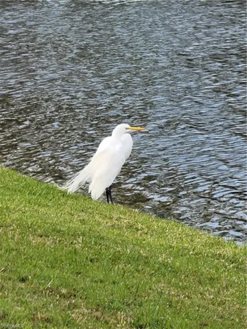 Frequent visitor!