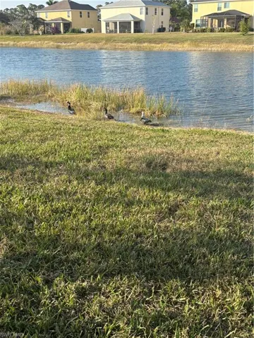 Water view