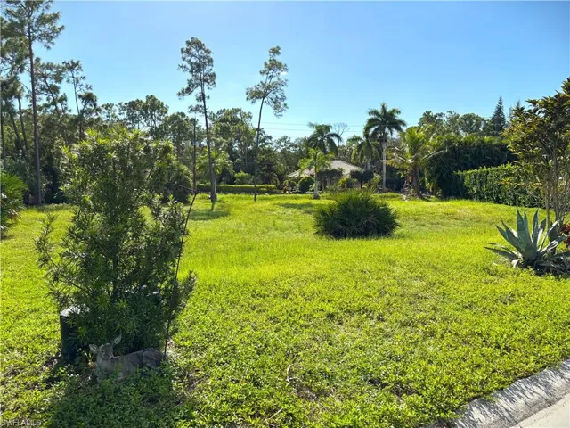 Far left to middle of property off Hidden Pines and facing West.