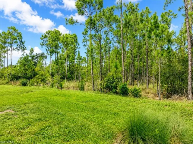 20587 Plumwood Loop, North Fort Myers, Florida 33917
