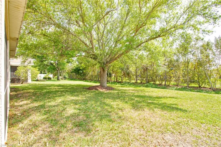 View of grassy yard