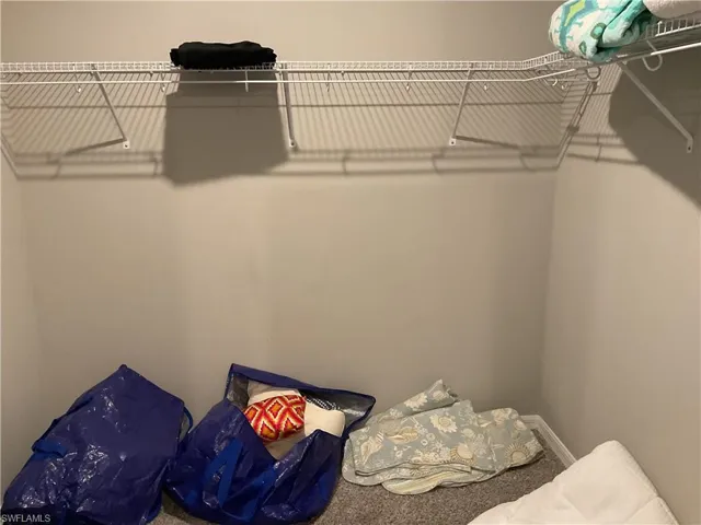 Spacious closet with carpet