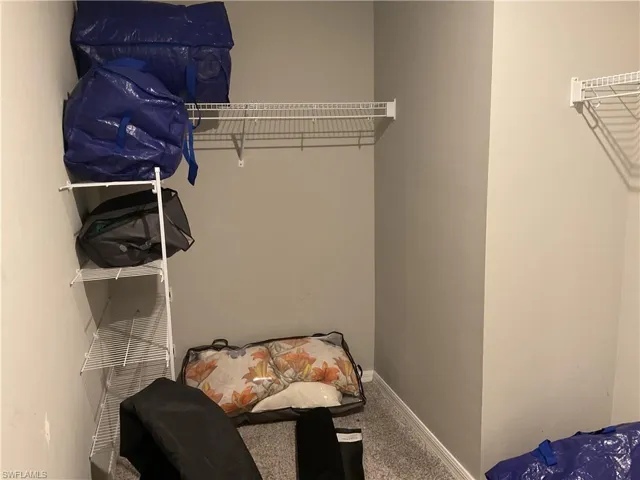 Walk in closet featuring carpet floors