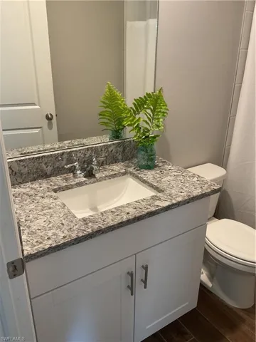 Bathroom featuring vanity, toilet, and wood finished floors