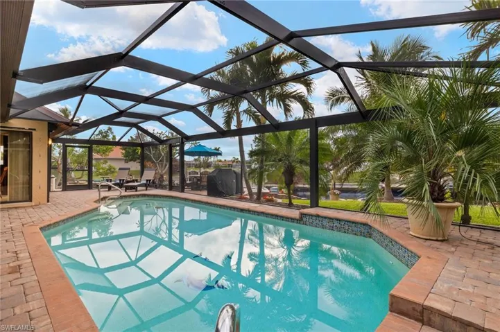 View of swimming pool with a lanai, a patio area, and area for grilling