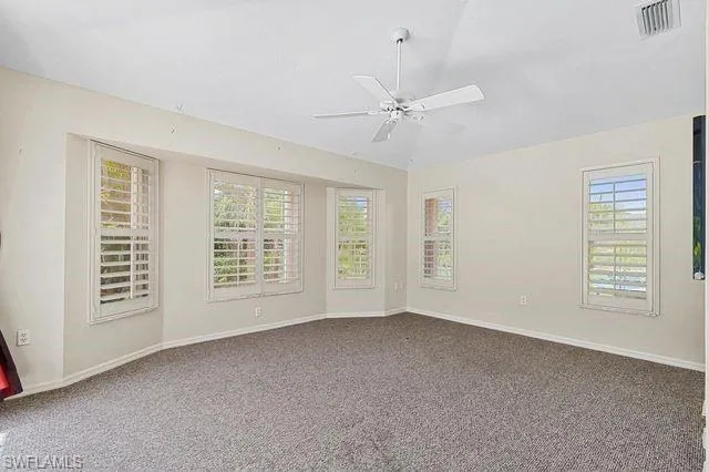 Spare room with carpet, a wealth of natural light, and ceiling fan