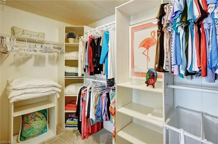 Spacious closet featuring carpet flooring