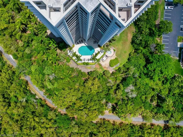 Peek At The Pool