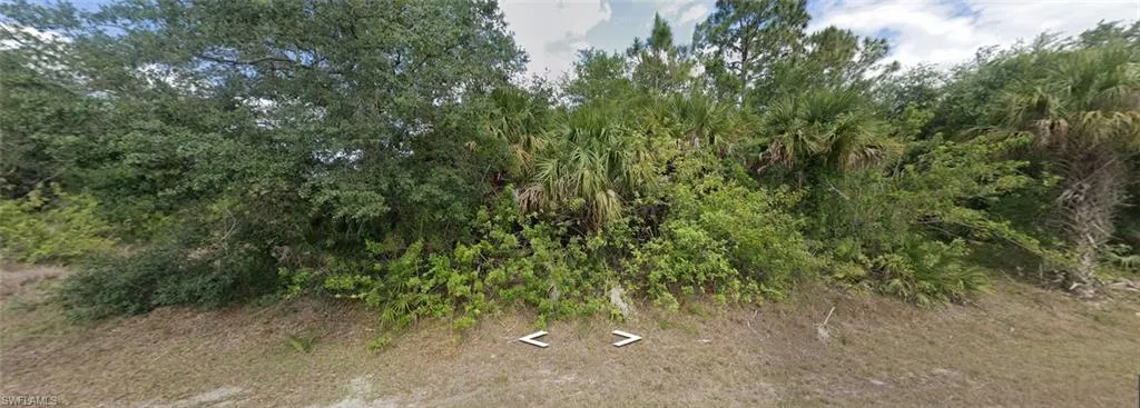 View of local wilderness