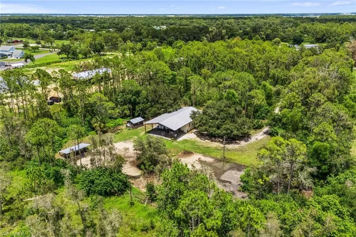 Drone / aerial view of a forest