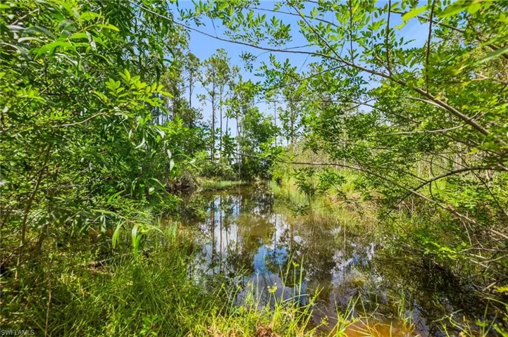 Pond