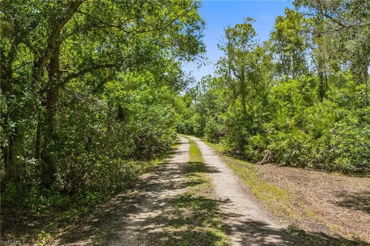 View of dirt / gravel road featuring a wooded view