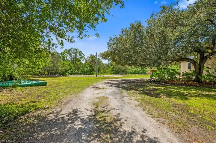 View of dirt / gravel driveway