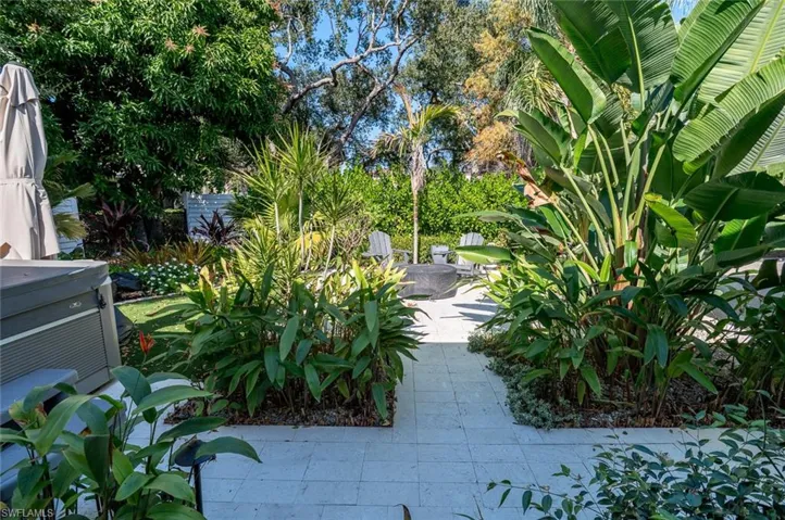 Tropical landscape back yard