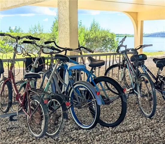 Bicycle near wildlife