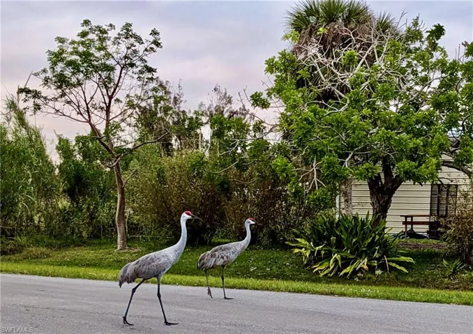 On the street where you will live! Your neighbors.