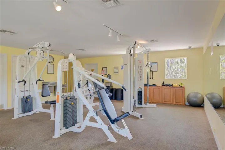 Gym featuring rail lighting and carpet