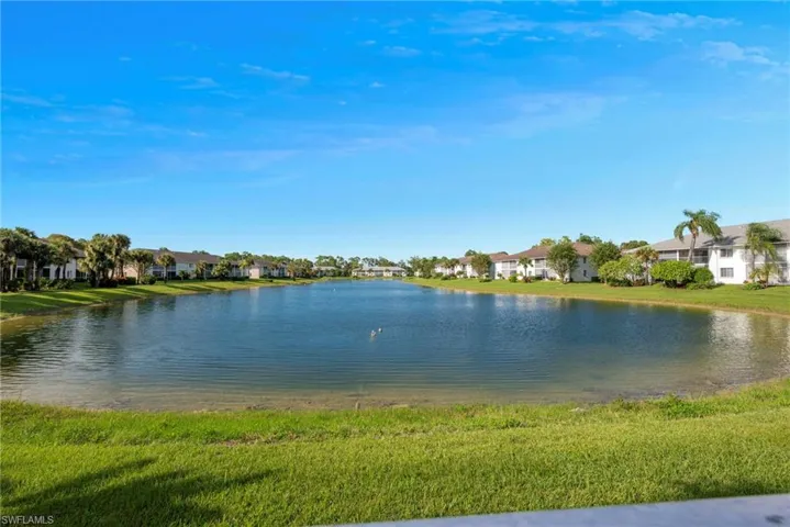 Relaxing Lake Views