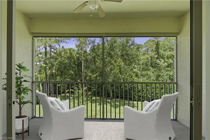 Screened Lanai Virtually Staged