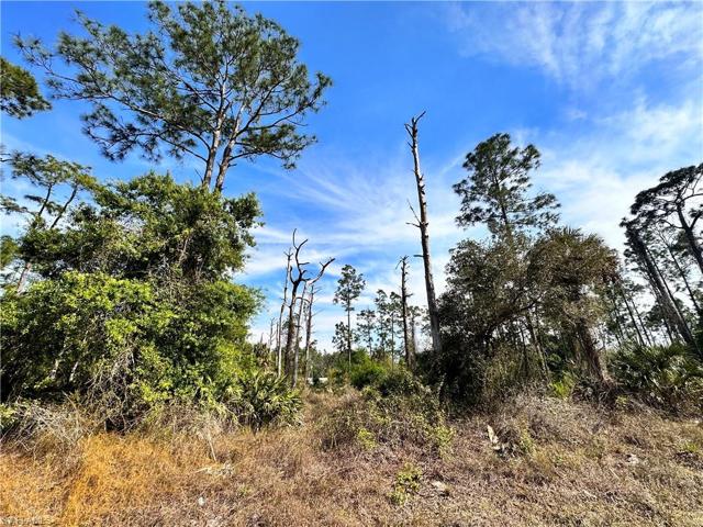 920 Irving AVE, LEHIGH ACRES FL 33972