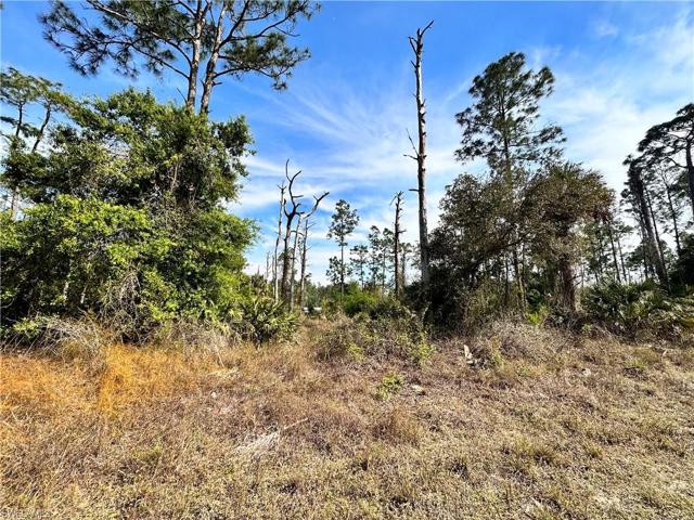 920 Irving AVE, LEHIGH ACRES FL 33972