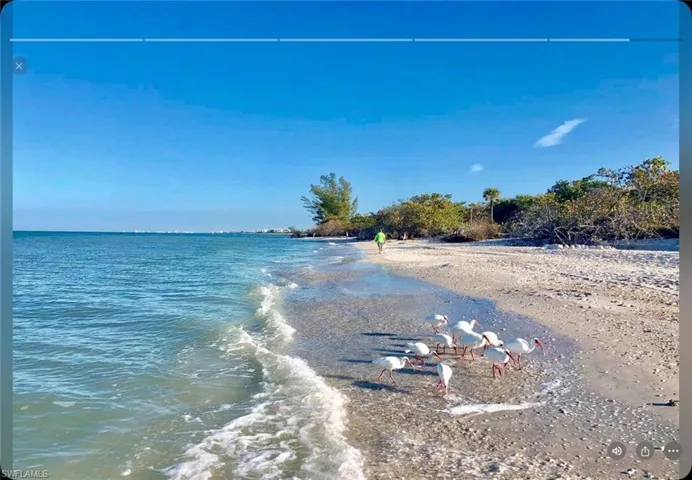 Bonita beach west of Bonita Beach as community location