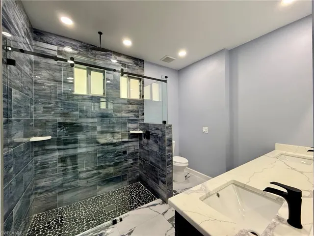 Bathroom featuring vanity, toilet, and walk in shower