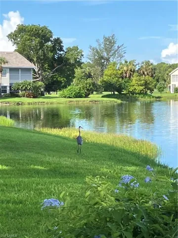 13141  Hamilton Harbour  DR, Naples, FL 34110
