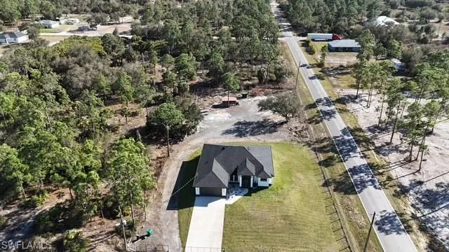 Drone / aerial view of a forest