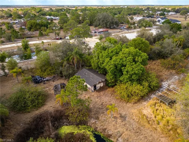 Aerial view of a tree filled landscape