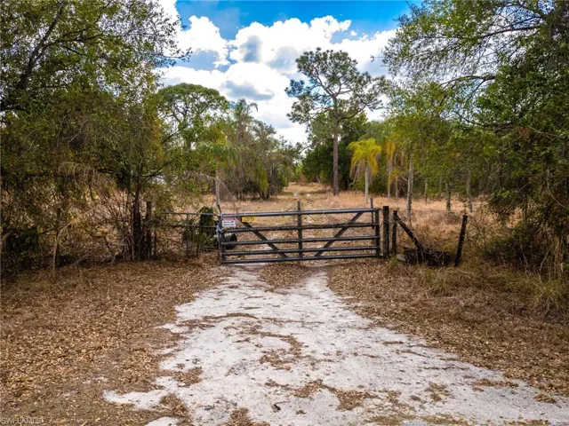 View of gate