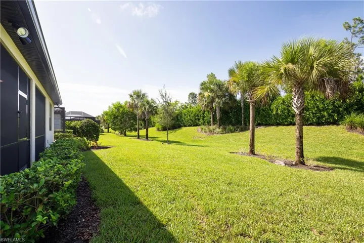 View of grassy yard