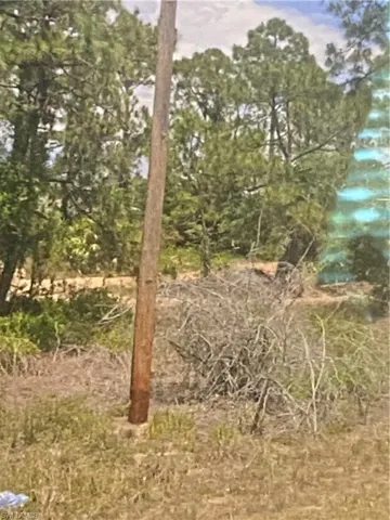 View of nature