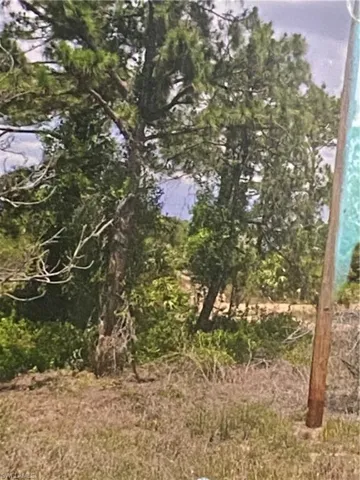 View of nature