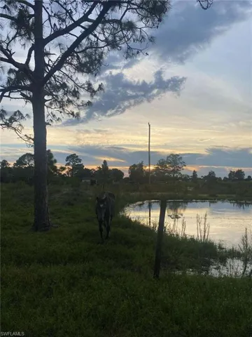 23675  Carolyn  LN, Fort Myers, FL 33913