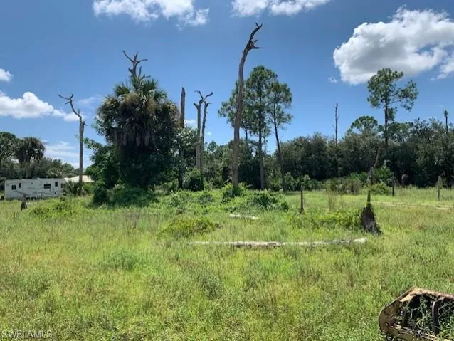 23675  Carolyn  LN, Fort Myers, FL 33913